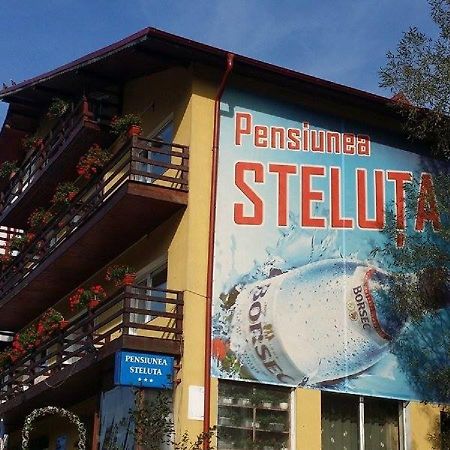 Pensiunea Steluta Predeal Buitenkant foto