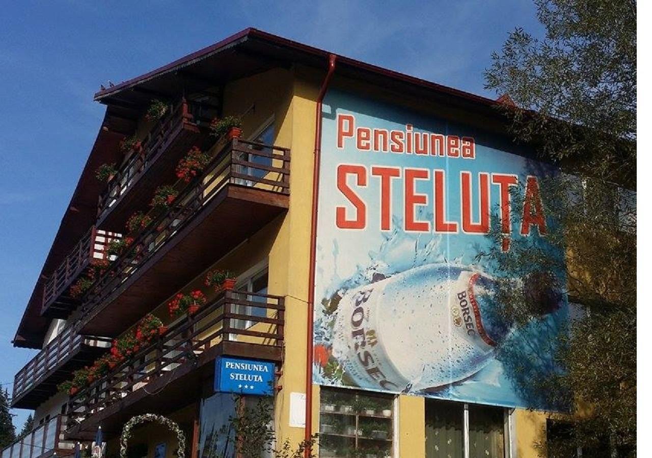 Pensiunea Steluta Predeal Buitenkant foto