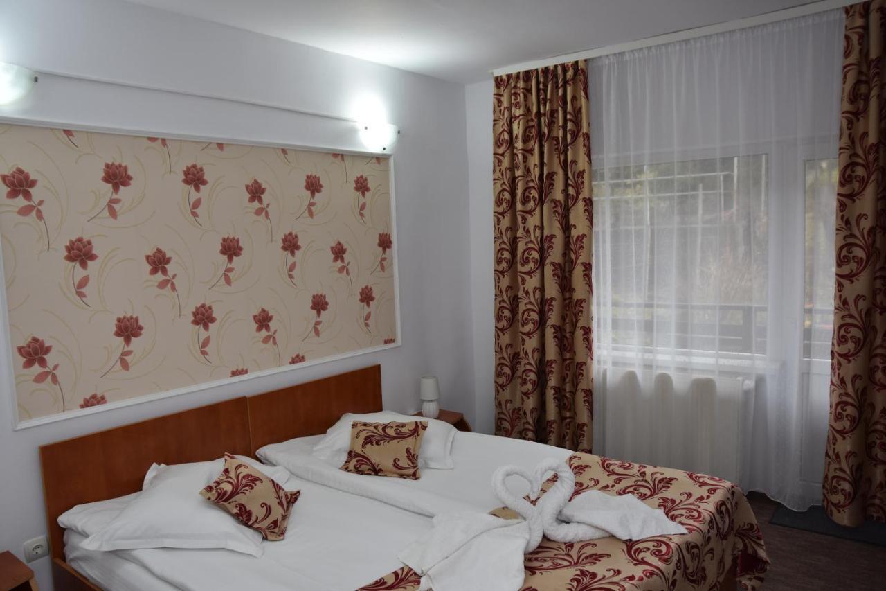 Pensiunea Steluta Predeal Buitenkant foto